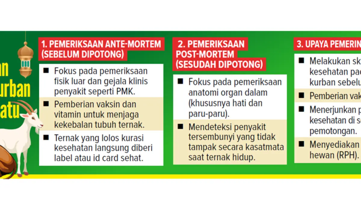 Grafis Kondisi Kesehatan Hewan Kurban di Kota Batu