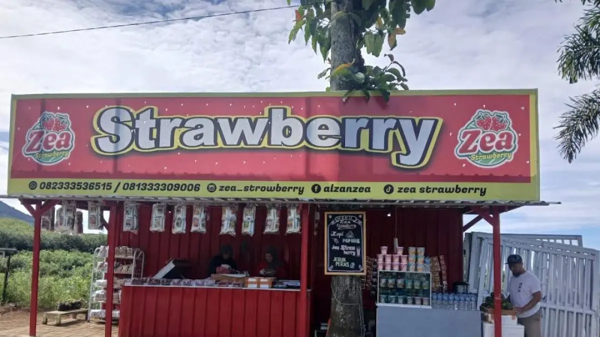 Lokasi Zea Strawberry Cangar. (Google Maps: Zea Strawberry Cangar)