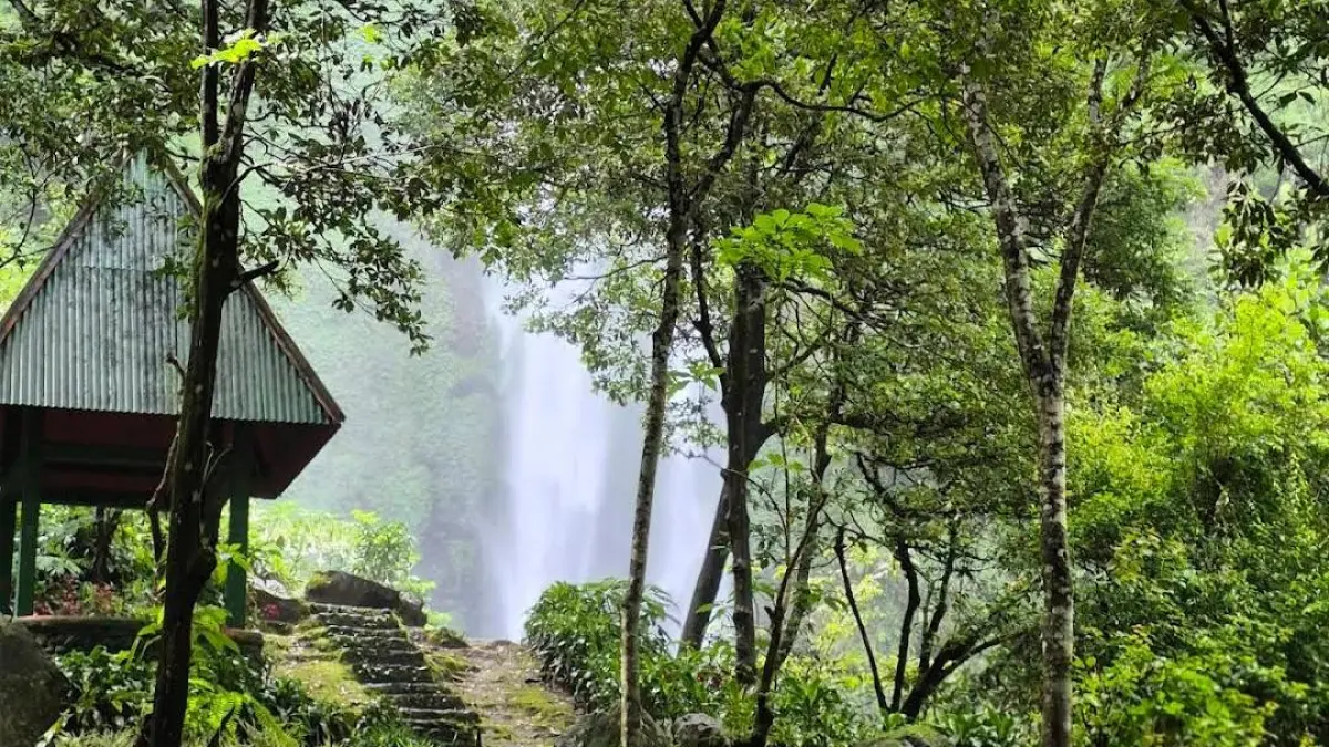 Suasana alam di Coban Tengah. (Google Maps: Omar)