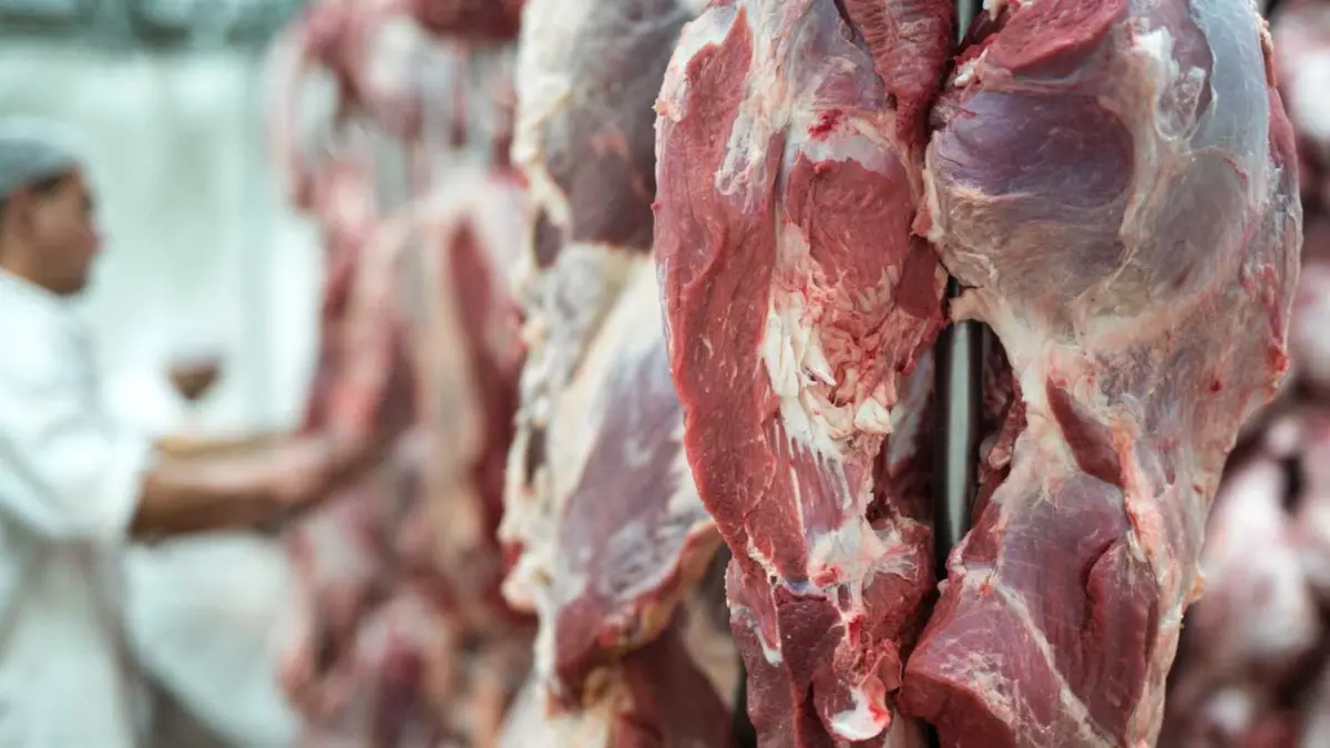 Ilustrasi pemotongan daging kurban (sumber foto: magnific)