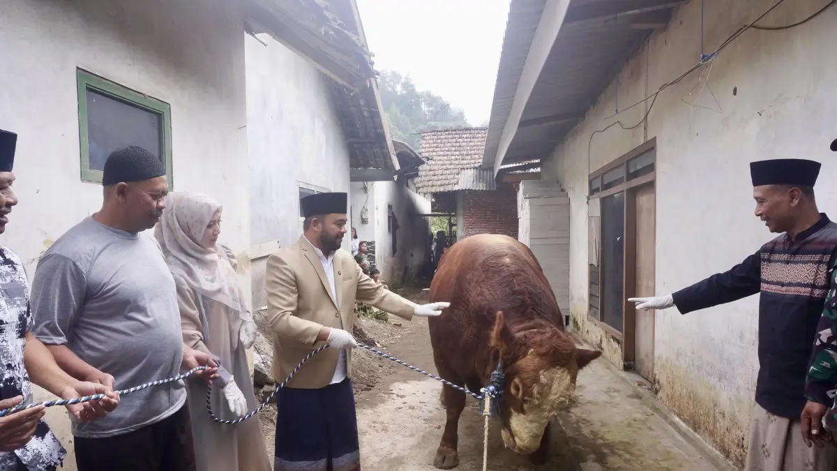 IDULADHA: Plt Wali Kota Batu Heli Suyanto (kanan) secara simbolis menyerahkan sapi kurban raksasa bantuan Presiden RI Prabowo Subianto kepada perwakilan warga Dusun Brau, Desa Gunungsari, Kecamatan Bumiaji kemarin (27/5).