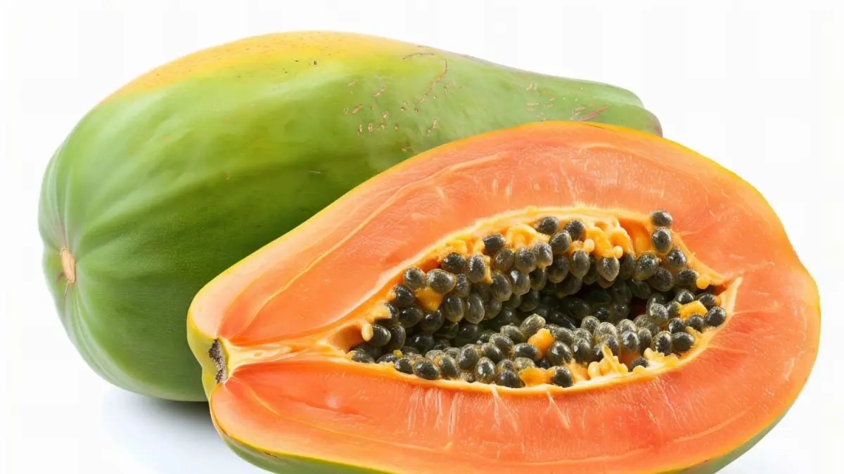 Ilustrasi buah pepaya (sumber foto: magnific)