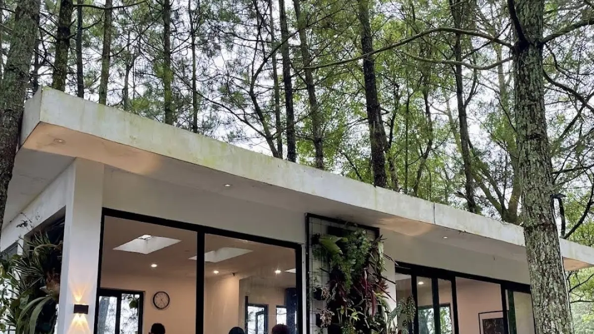 Cafe Tenthirty Batu di tengah pepohonan Pinus. (Google Maps: Faiqmana Kusuma)