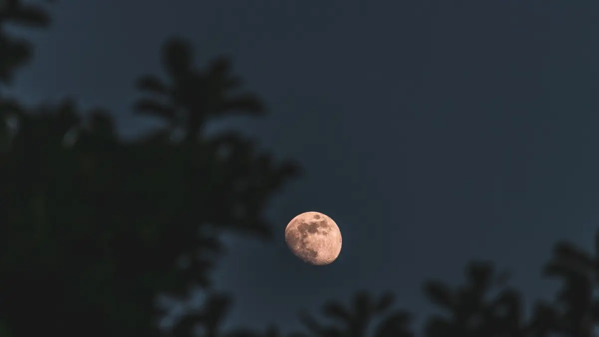 Ilustrasi bulan purmana (sumber foto: magnific)