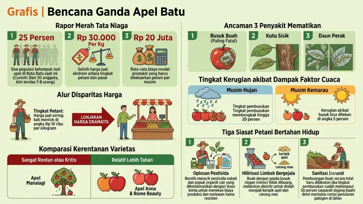 Grafis bencana ganda apel Batu.