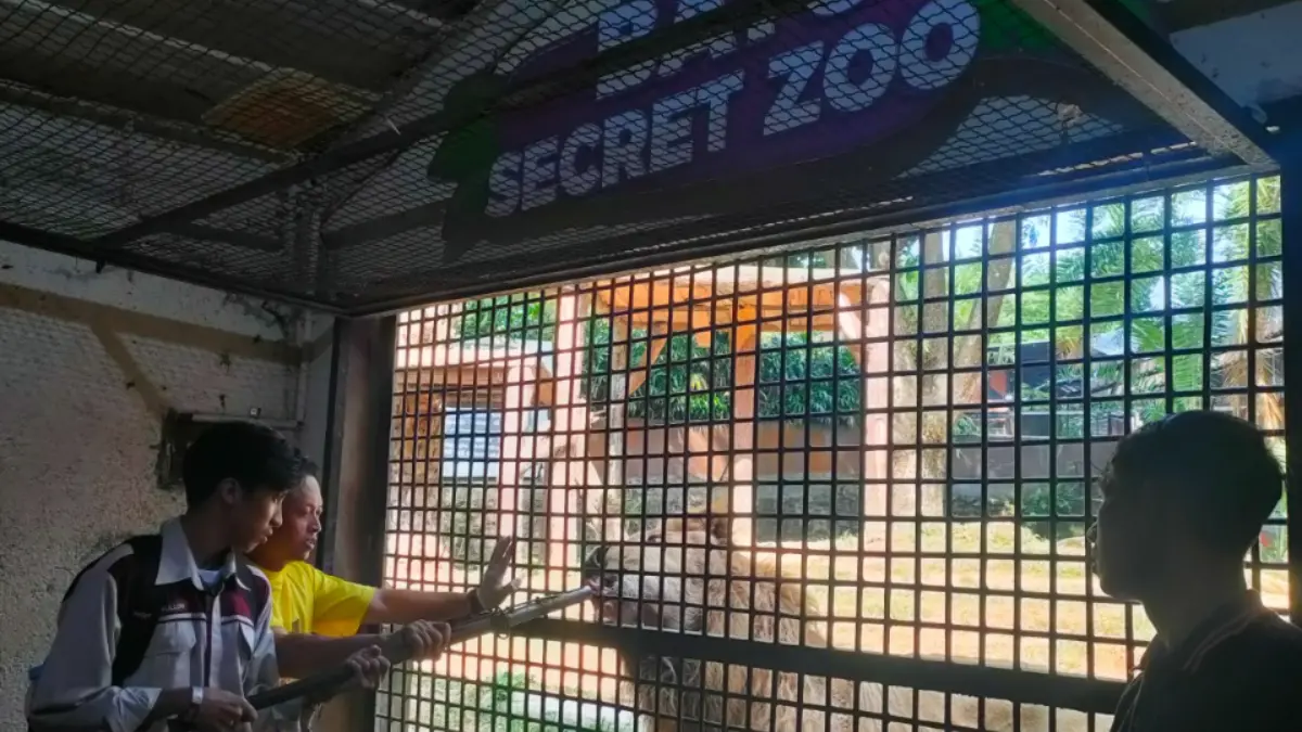 PENGAMATAN: Sejumlah mahasiswa melakukan observasi terhadap singa, salah satu satwa koleksi Jawa Timur Park 2 beberapa hari lalu.