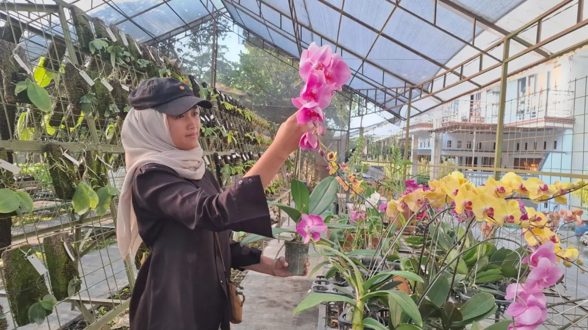 TANAMAN HIAS : Karyawan DD Anggrek Nursery di Desa Dadaprejo, Kecamatan Junrejo mengecek kondisi sejumlah tanaman beberapa waktu lalu.