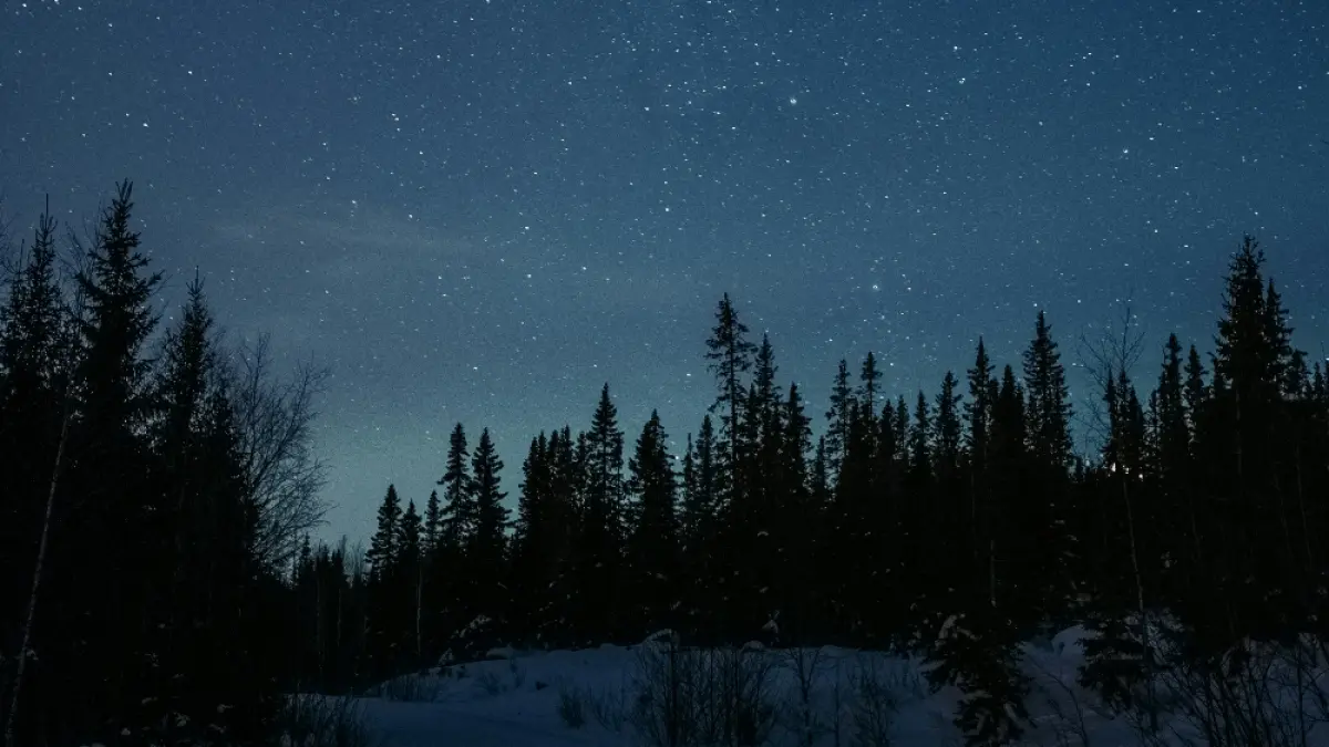 Ilustrasi fenomena bediding di malam hari. (Unsplash).