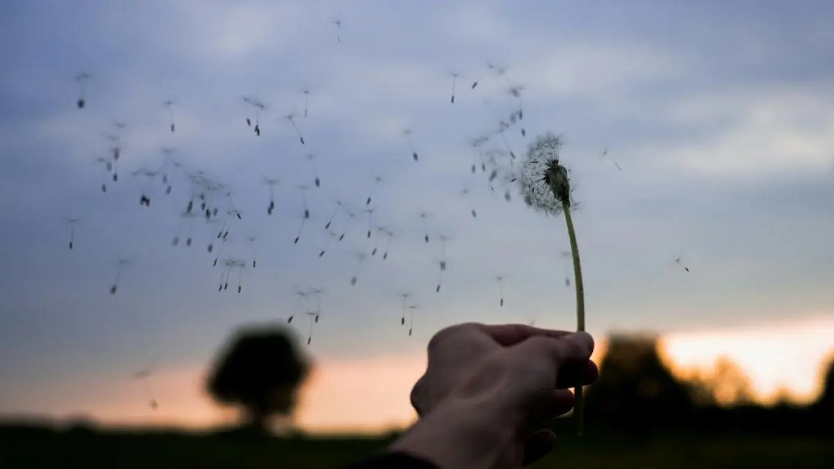 Ilustrasi udara dingin fenomena bediding. (Unsplash).