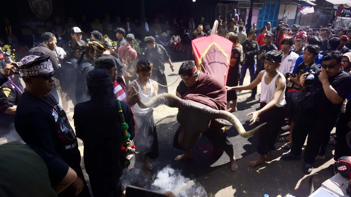 LESTARIKAN TRADISI: Pertunjukan bantengan memukau pengunjung di panggung utama kawasan wisata Songgoriti, Kelurahan Songgokerto kemarin (22/6).