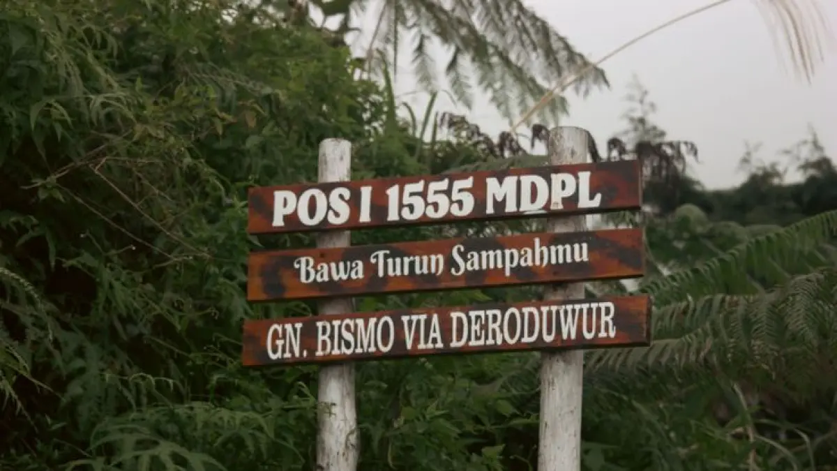 Gambar Pendakian Gunung Bismo. (Sumber: Pinterest).