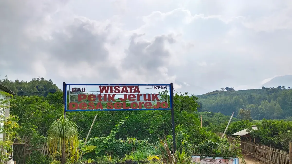 Keindahan Agro Petik Jeruk Selorejo (Foto: Google Maps)