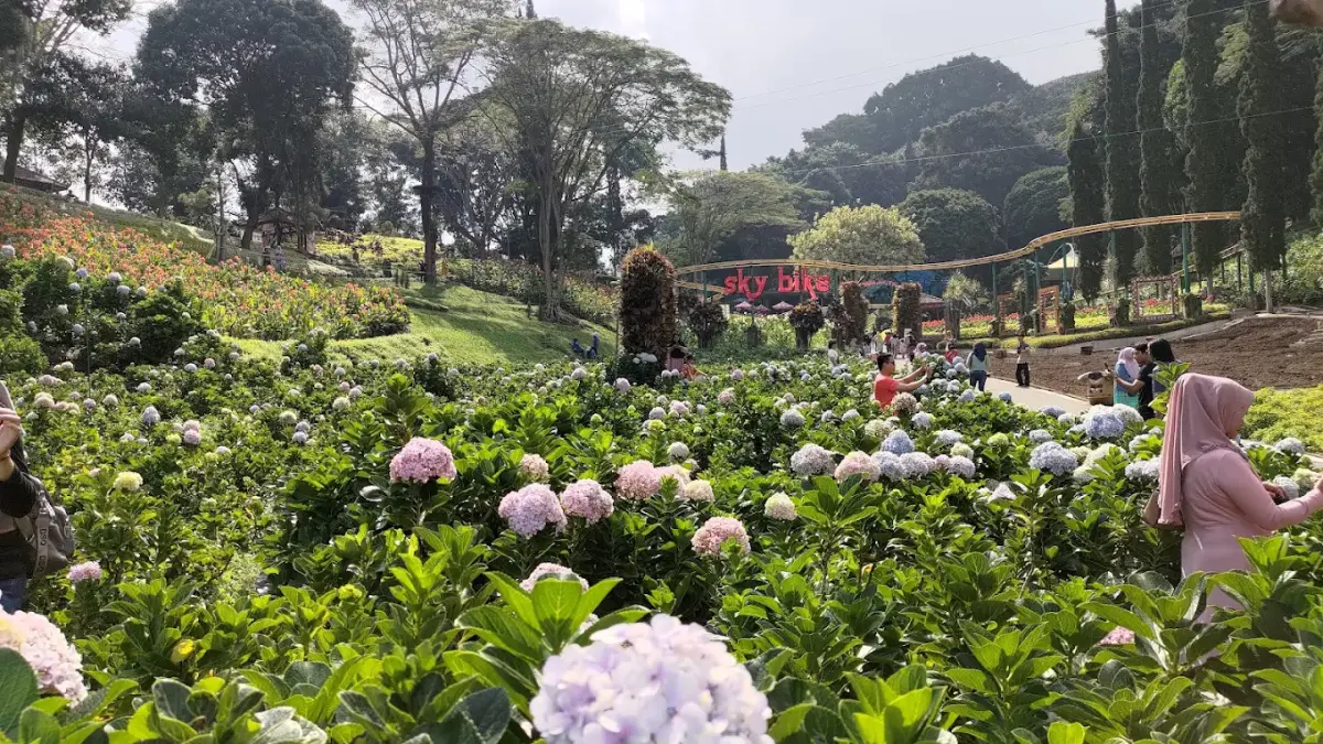 Suasana Wisata Petik Apel Agro Rakyat (Foto: Google Maps)