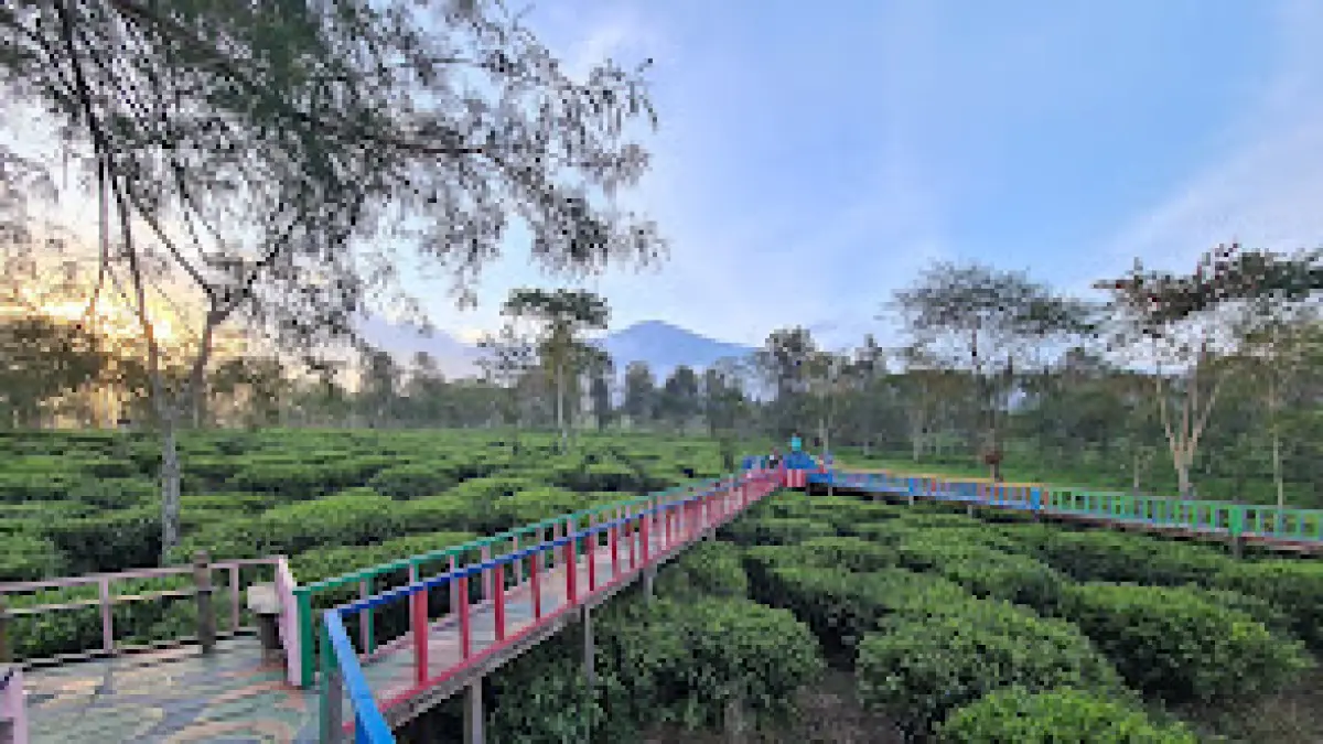 Wisata Agro Wonosari (Google Maps)