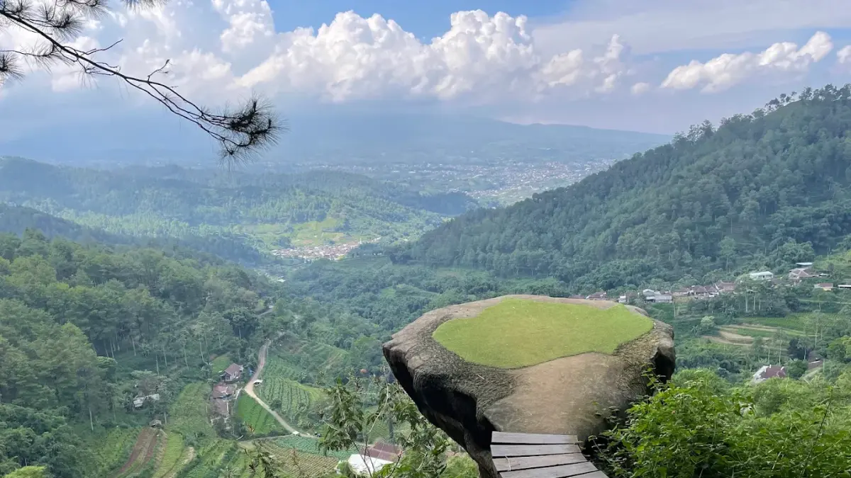 Spot foto yang menjadi favorit anak muda di Gussari Goa Pinus Batu (Foto: Google Maps/Bungsu Tri)