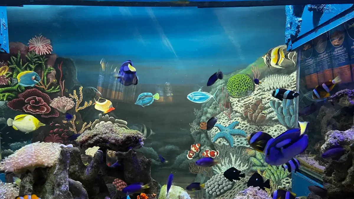Fantastic Aquarium, Batu Secret Zoo (Google Maps/Muhammad Faldi)