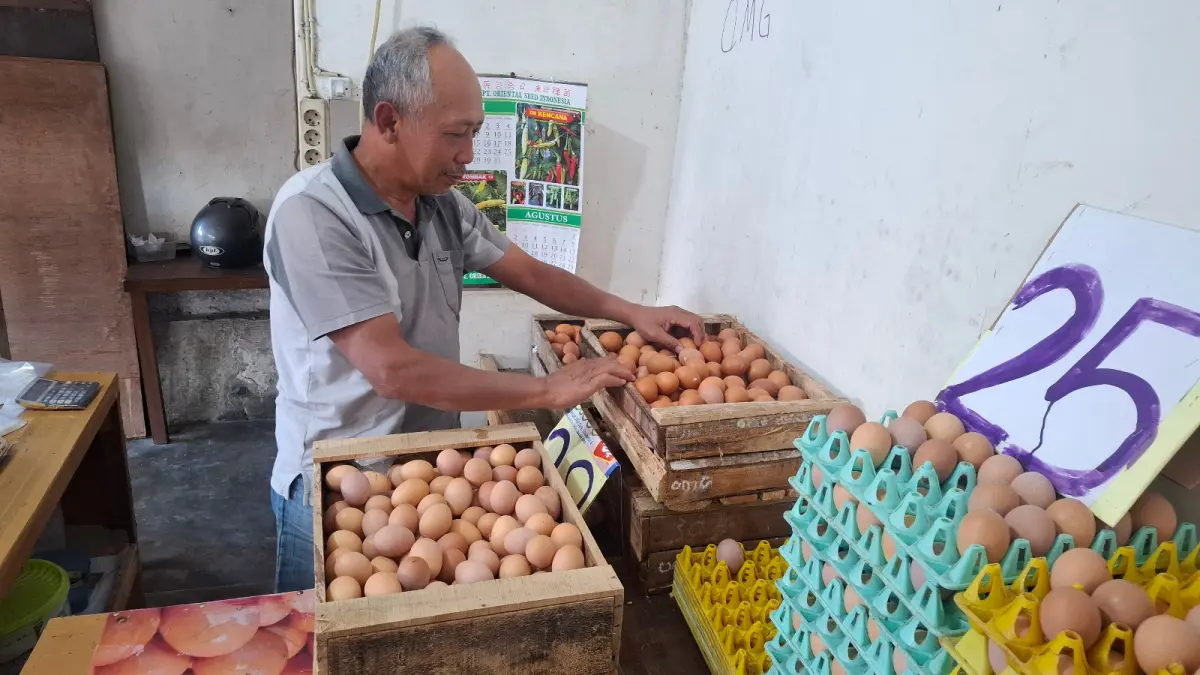 HARGA NAIK: Salah satu pedagang menata telur di kios miliknya di Jalan Brantas, Kelurahan Ngaglik, Kecamatan Batu pada Senin lalu (20/7).