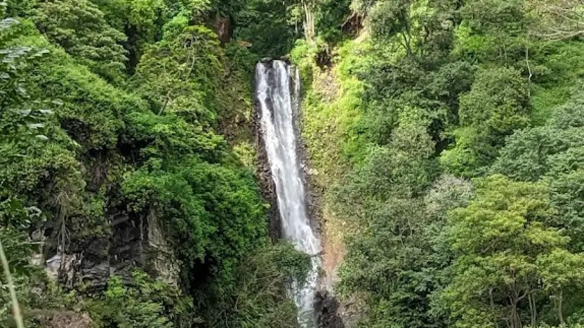 Air Terjun Parang Tejo (Google Maps/Milik Tony)