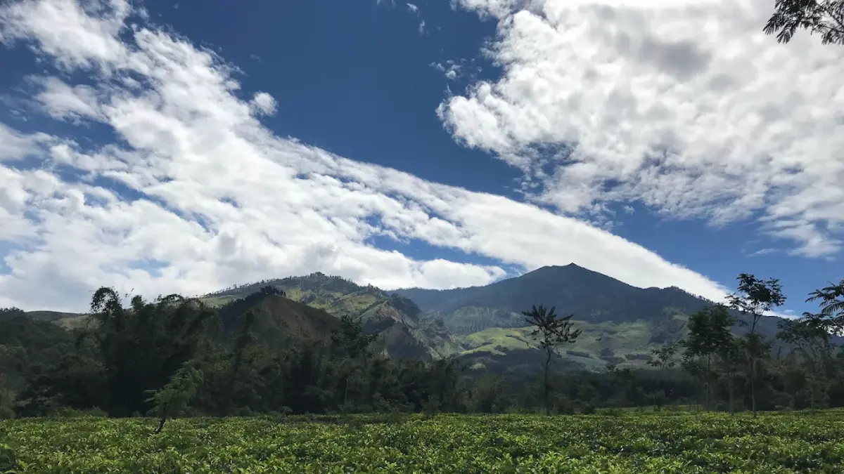 Gunung Buduk Asu (Google Maps/Massool)