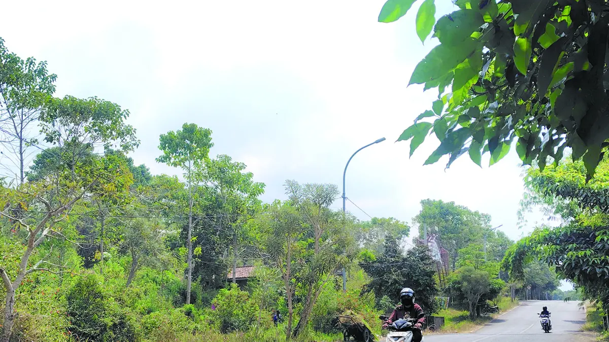 LAHAN POTENSIAL: Kawasan Jalibar di Desa Oro-oro Ombo, Kecamatan Batu dibidik Pemkot Batu menjadi lokasi Tempat Pemakaman Umum (TPU). (RORI DINANDA BESTARI/RADAR BATU)