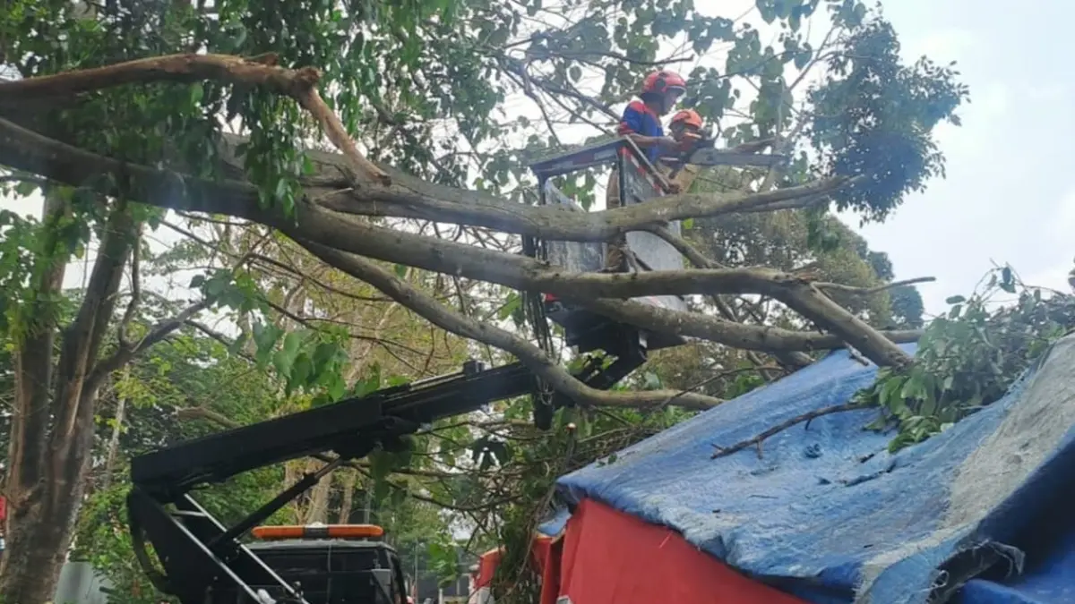 PATAH: Dahan pohon yang menimpa atap warung di Kota Batu.