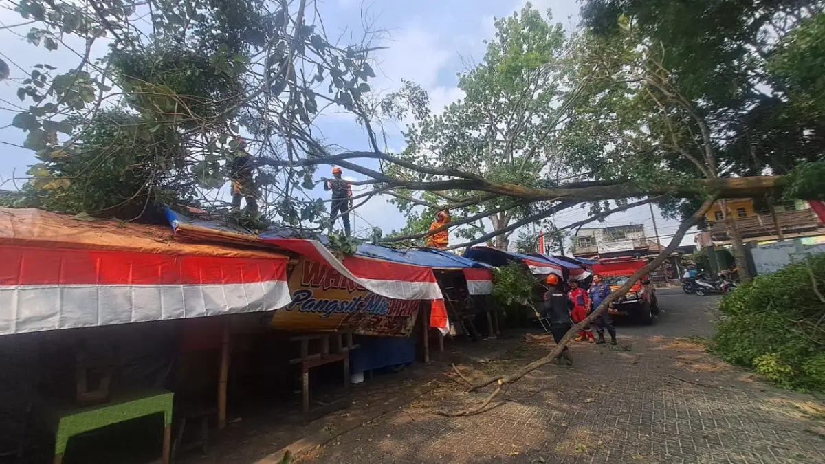 ANGIN KENCANG: Pohon tumbang di sisi timur Makam Pahlawan Untung Suropati, Jalan Suropati, Kelurahan Ngaglik, Kecamatan Batu pada Selasa (4/8). (BPBD KOTA BATU FOR RADAR BATU)