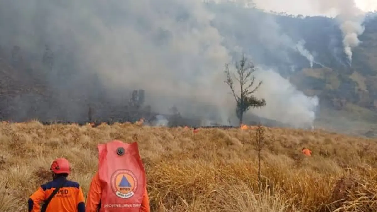 Kebakaran Gunung Bromo meluas. Sumber: Antara News.
