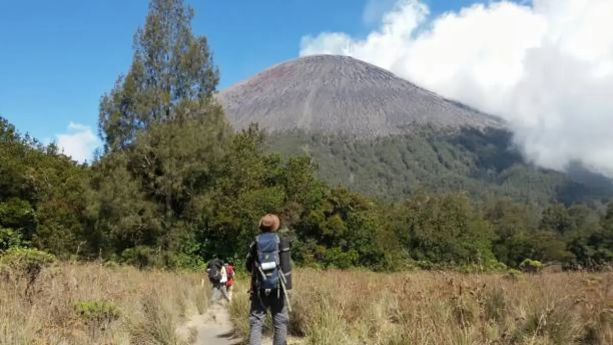 Ilustrasi Mendaki Gunung (Getty Images/Kadek Bonit)