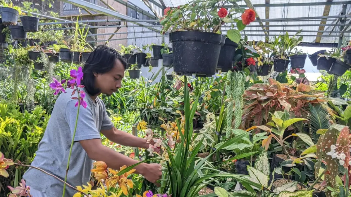 BAKAL DITATA ULANG: Salah satu kios bunga di Jalan Bukit Berbunga, Desa Sidomulyo, Kecamatan Batu. Jalanan di kawasan itu rencananya akan ditata ulang Pemkot Batu. (RORI DINANDA BESTARI/RADAR BATU)