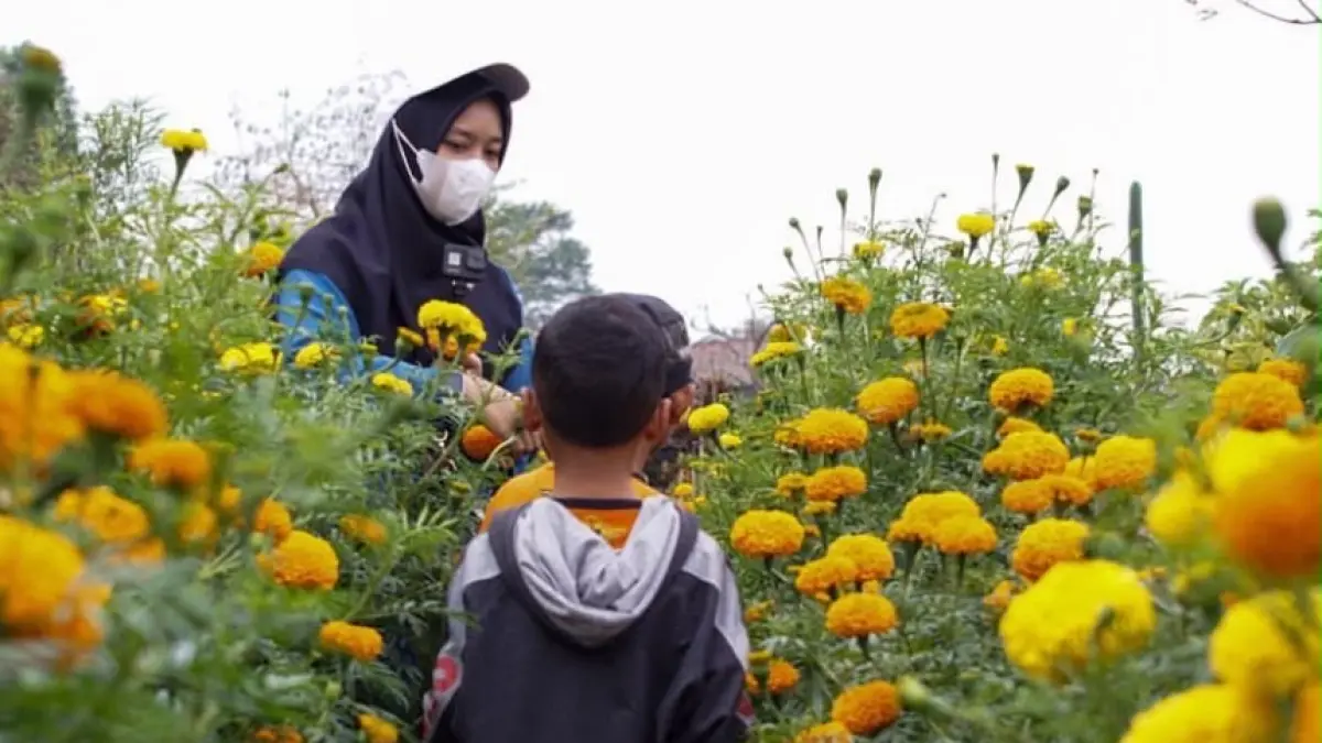 IKONIK: Kampung Marigold di kawasan Desa Sumbergondo menjadi wisata edukasi bagi pelajar. (PEMDES SUMBERGONDO FOR RADAR BATU)