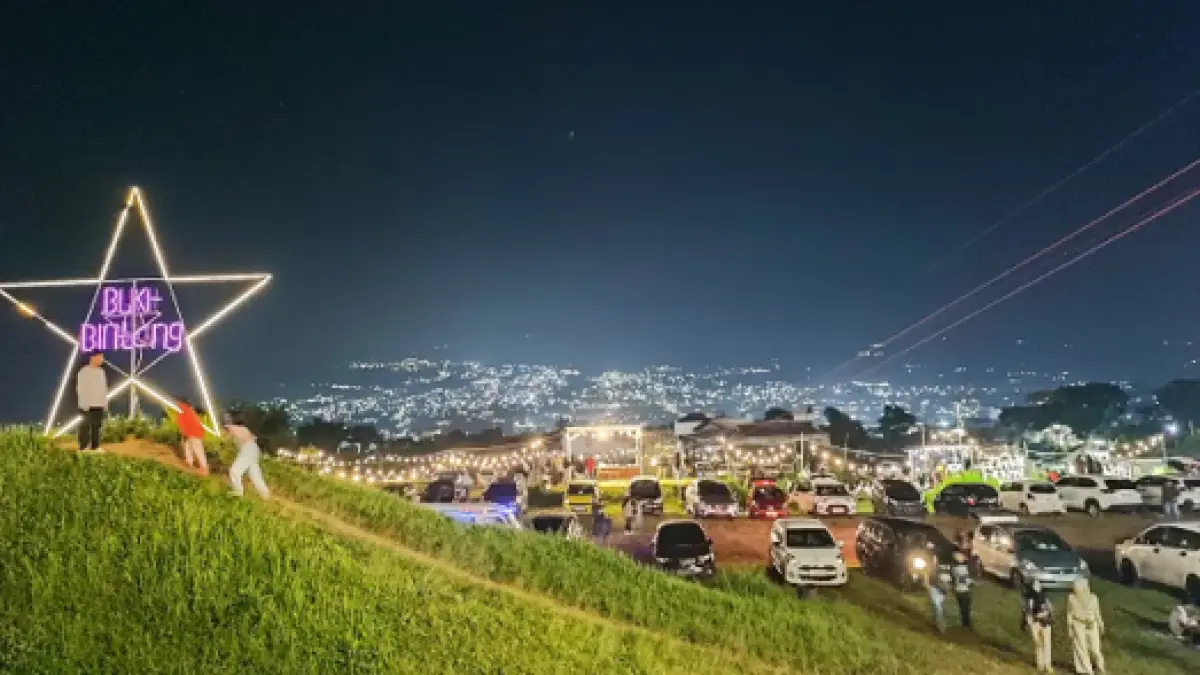 Pemandangan gemerlap lampu Kota Batu dari Bukit Bintang saat malam hari. (Google Maps/Nanda Ayu Aisyah)