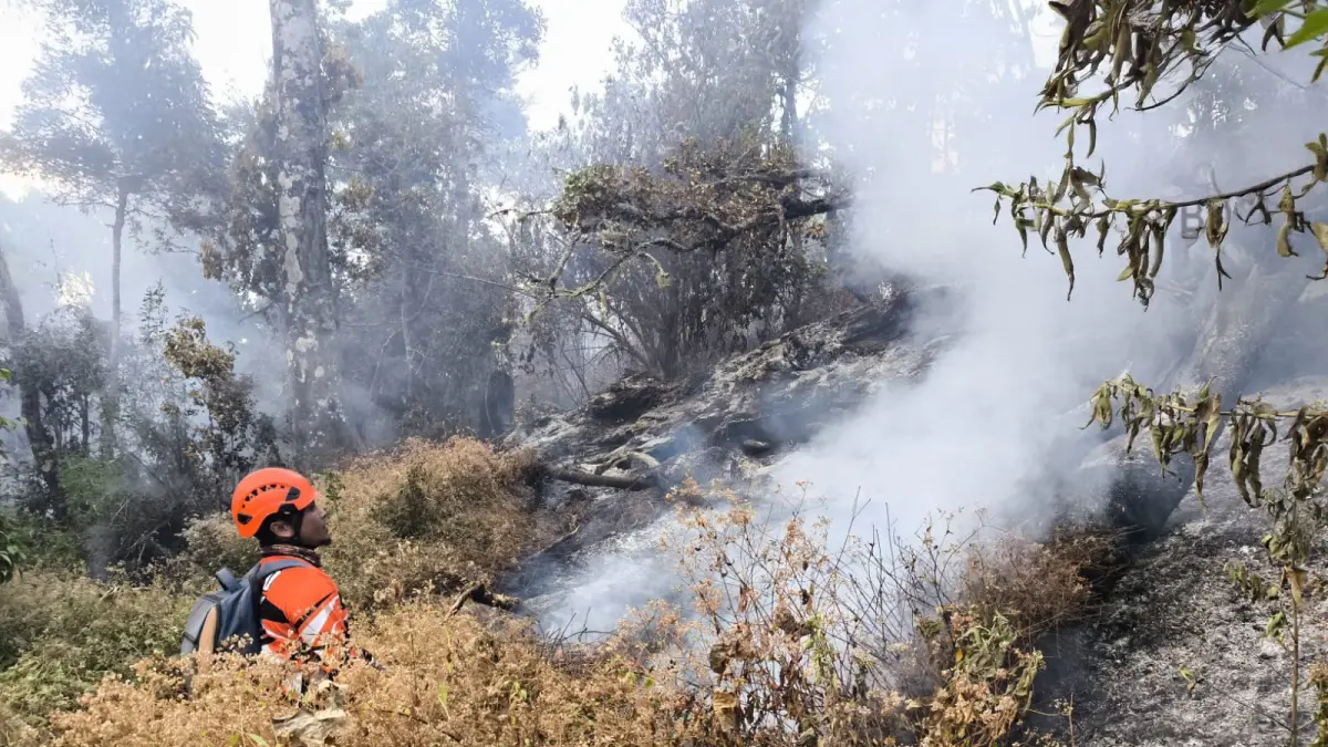 PROSES PEMADAMAN: Tim gabungan melakukan pemadaman api di lereng Gunung Butak pada Selasa lalu (1/9). (PUSDALOPS BPBD KOTA BATU FOR RADAR BATU)