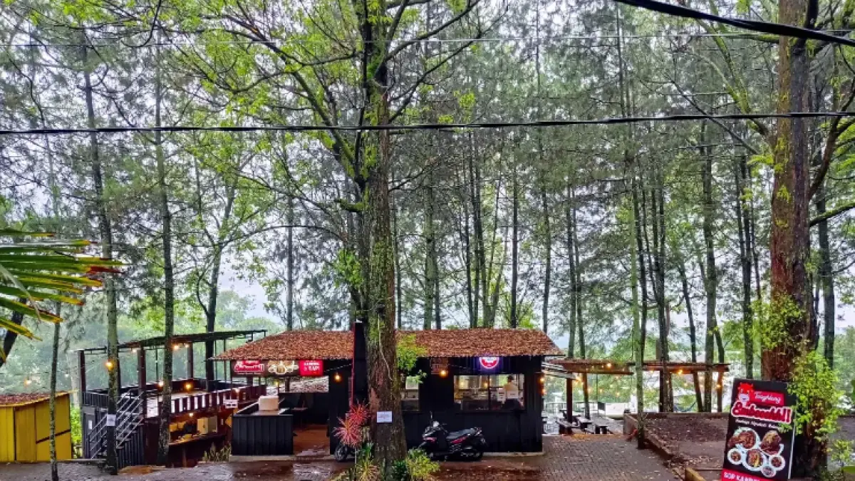 Suasana Cafe Taman Pinus Batu yang berada di tengah rindangnya pepohonan pinus, menawarkan tempat bersantai dengan udara sejuk dan nuansa alam. (Sumber: Instagram/@tamanpinus)
