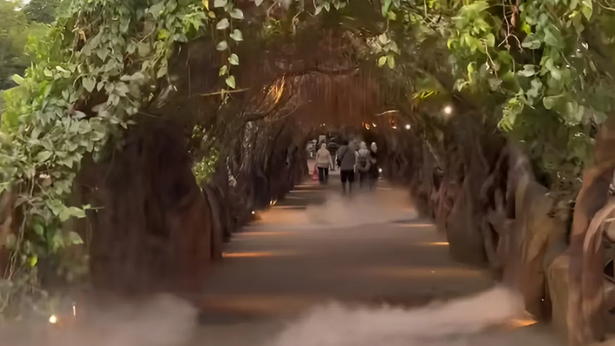 Perpaduan lorong akar raksasa dan kabut tipis bikin Jembatan Akar Jatim Park 3 makin instagramable, apalagi menjelang sore. (FOTO: DOK. Tik Tok)