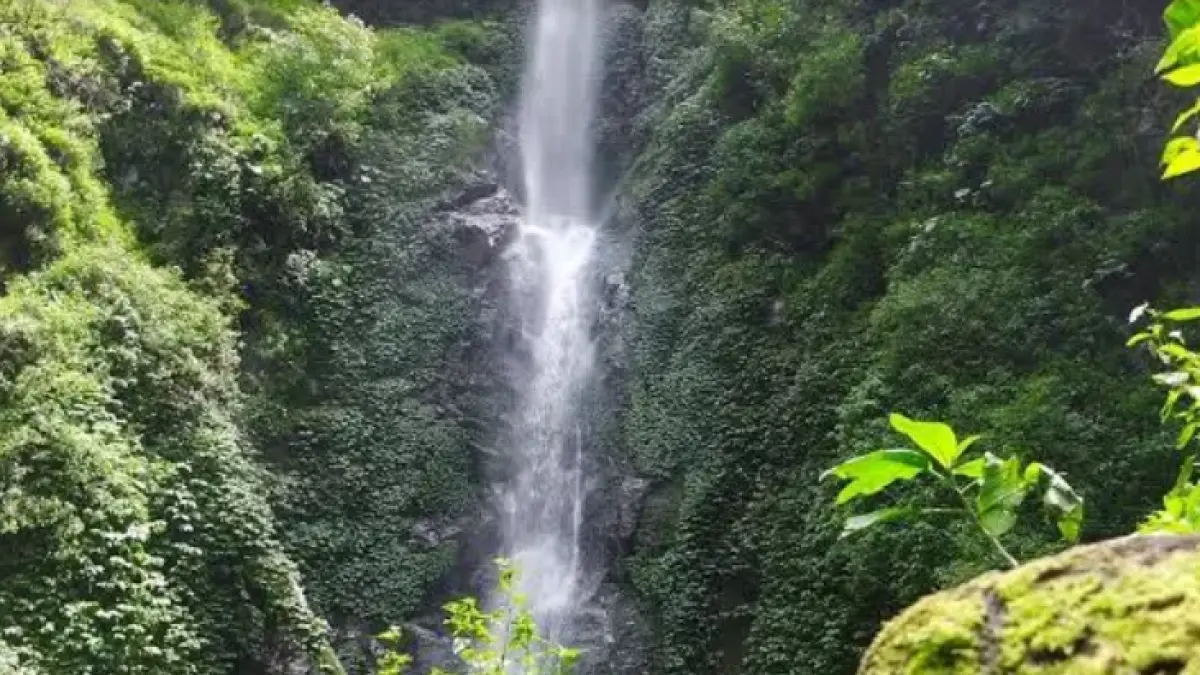 Air terjun Coban Rais menjadi salah satu daya tarik wisata alam di Kota Batu yang dikelilingi suasana hijau dan asri. (Google Maps/Pras Setyo)