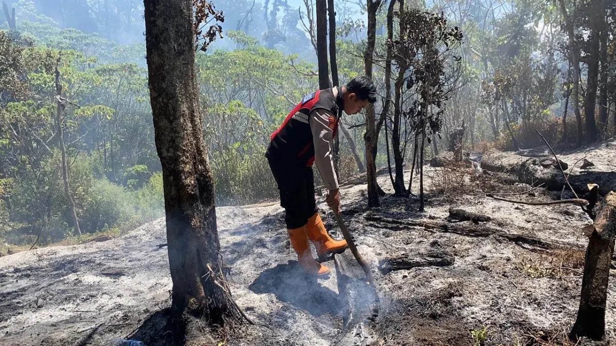 PEMADAMAN: Tim gabungan bakal membuat sekat bakar supaya api tidak menjalar. (POLRES BATU FOR RADAR BATU)