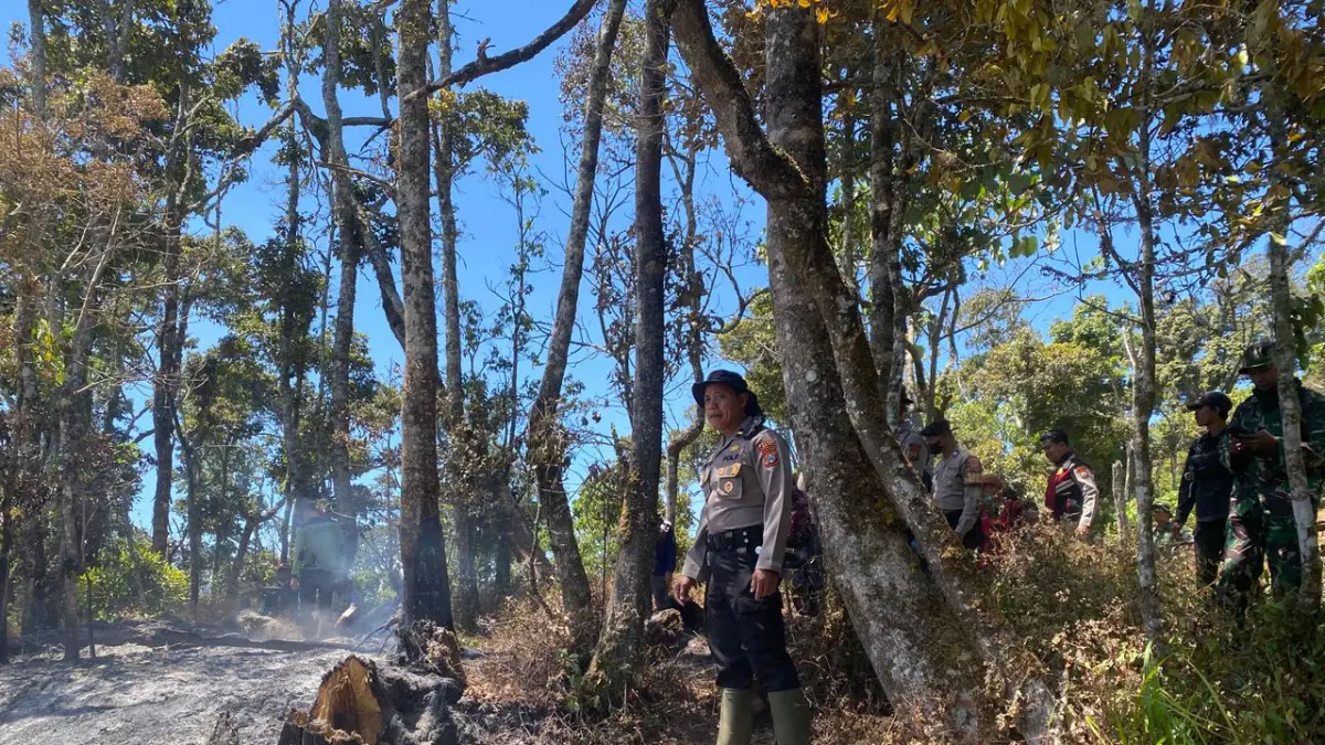 PEMADAMAN: Karhutla di Gunung Butak sudah padam, tetapi masih ada sisa-sisa bara api di batang pohon. (POLRES BATU FOR RADAR BATU)