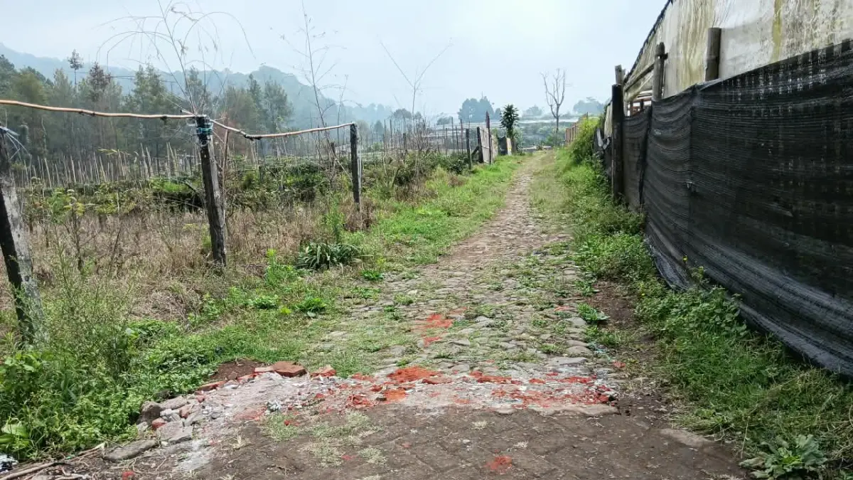 BUTUH PERBAIKAN: Jalan di Dusun Wonorejo, Desa Tulungrejo belum dapat perbaikan sejak 16 tahun yang lalu. (INDAH MEI YUNITA/RADAR BATU)