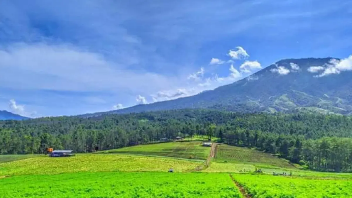 Pemandangan hamparan lahan pertanian dari kawasan Bukit Jengkoang, Desa Bulukerto, Kecamatan Bumiaji, Kota Batu. (Google Maps/Satu Lamongan)