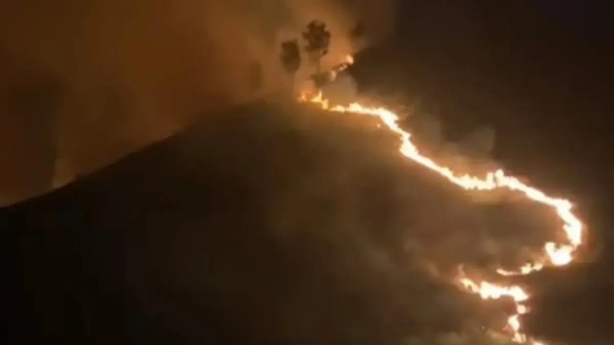Sabana Pengol Bromo Terbakar (10/9). Foto: x.com/indepenSumatera