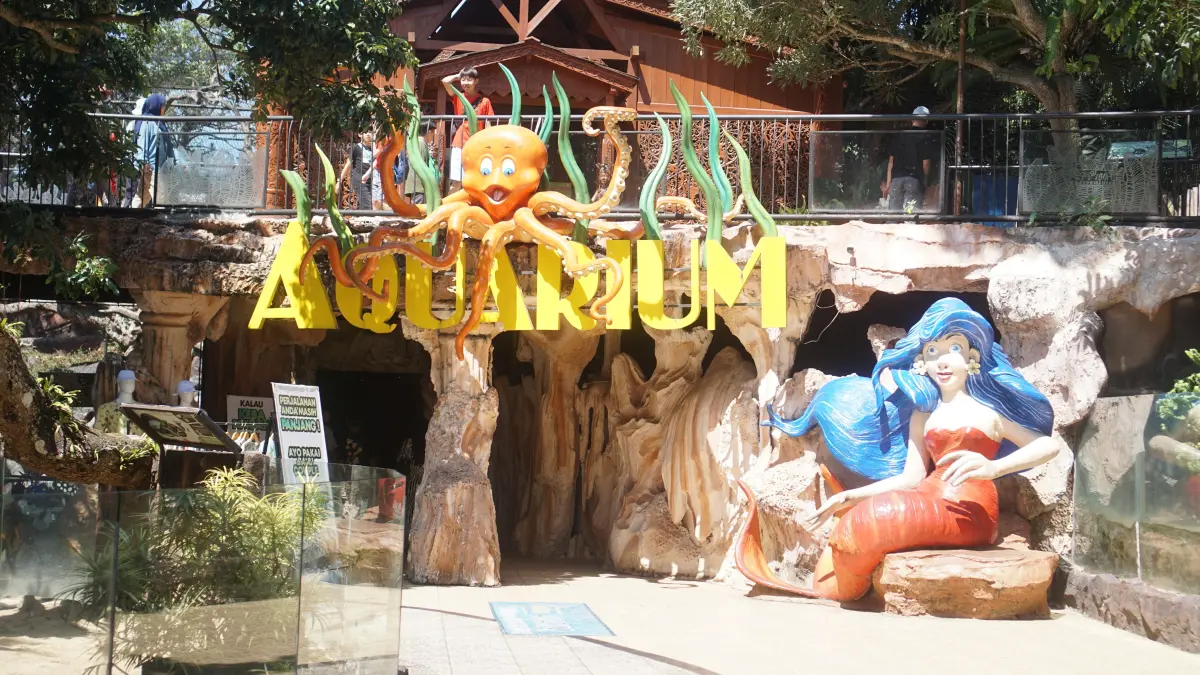 Batu Secret Zoo di Kota Batu menawarkan pengalaman wisata satwa sekaligus beragam aktivitas, mulai dari melihat koleksi hewan di Aquarium. (Dok. Pribadi)