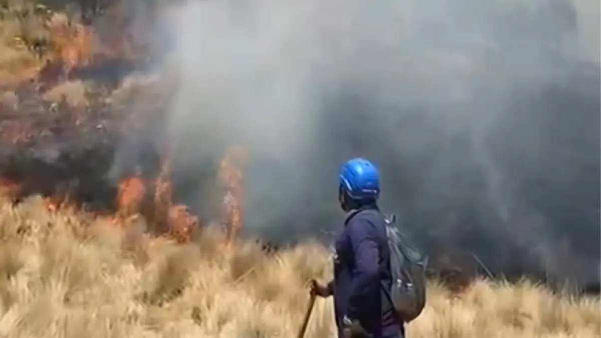KARHUTLA: Kebakaran kembali terjadi di Gunung Butak dan Kawinajang kemarin (13/9). (PERUM PERHUTANI KPH MALANG FOR RADAR BATU)