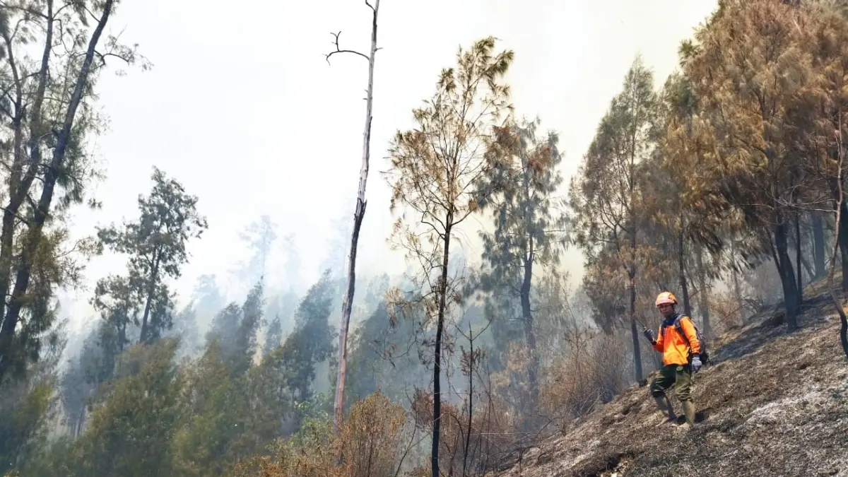 KARHUTLA: Kebakaran hutan dan lahan (karhutla) di Gunung Butak dan Kawinajang belum padam. (ISTIMEWA)