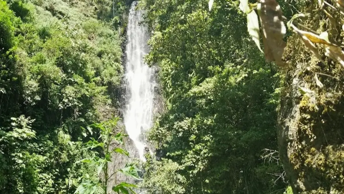Coban Parang Tejo di Kecamatan Dau, Kabupaten Malang, menawarkan pemandangan air terjun setinggi sekitar 100 meter dengan suasana alami. (Google Maps/Dwi S N)