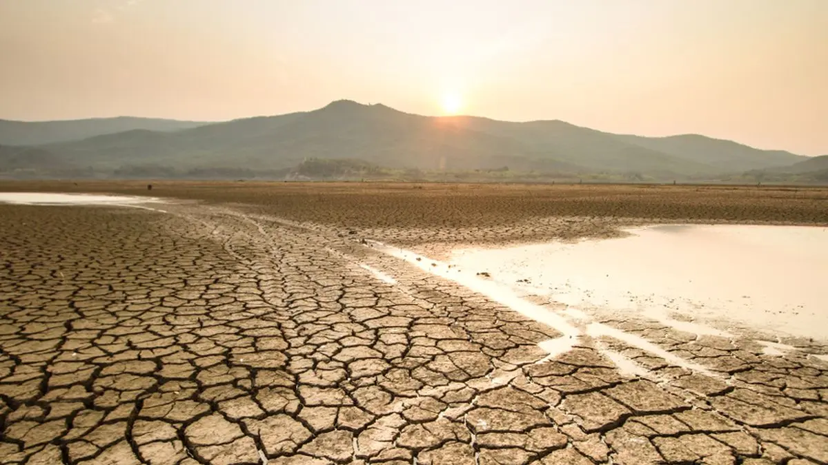 Ilustrasi Kekeringan. Foto: Shutterstock/Piyaset