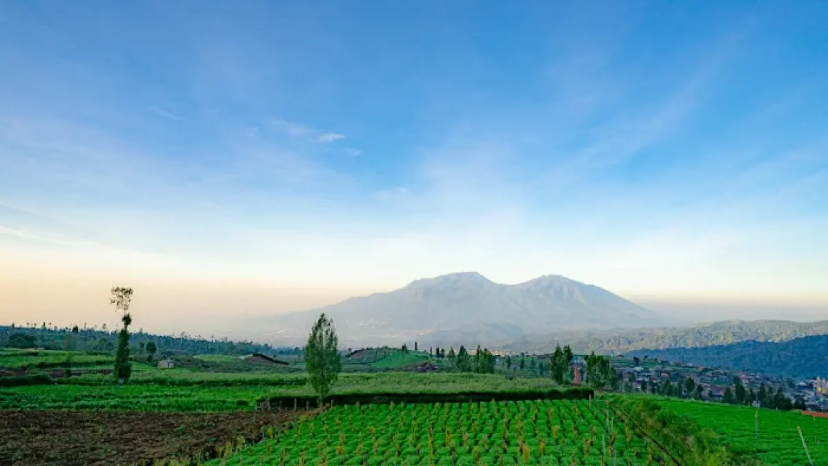 Puncak Brakseng di Sumber Brantas, Kota Batu, menawarkan panorama kebun sayur, bunga hortensia, dan pegunungan dari dataran tinggi. (Google Maps/Agus Sudharnoko)