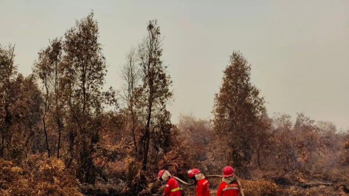 Petugas melakukan pemadaman dan pendinginan kebakaran hutan dan lahan. Foto: Kementerian Kehutanan