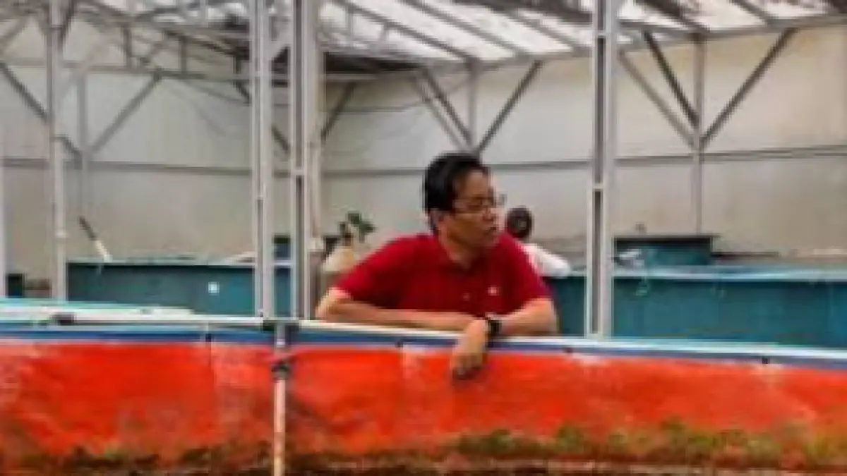 Mantan Menteri Keuangan, Purbaya Yudhi Sadewa, tampak bersandar di tepi kolam ikan sembari memperhatikan ikan-ikan di dalamnya dalam unggahan video pendek yang viral di media sosial. Unggahan aksi santainya tersebut memicu beragam spekulasi dan respons beragam dari warganet. (Foto: Instagram @haijakarta.id)