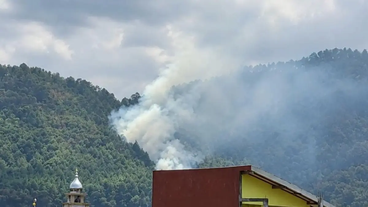 Hutan Pinus  di Petak 5C RPH Punten BKPH Pujon, Desa Sumberejo, Kecamatan Batu, terbakar pada Selasa (22/9). (Istimewa)
