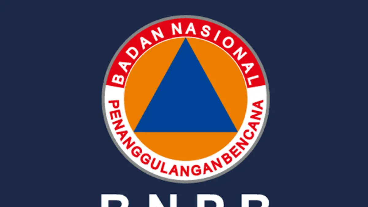 BNPB Tangani Karhutla Seluas 18.421 Hektare di Enam Provinsi, Kalteng Terluas